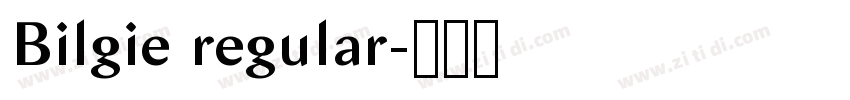 Bilgie regular字体转换